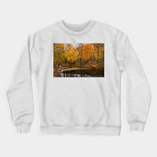 WGC_0204 Crewneck Sweatshirt